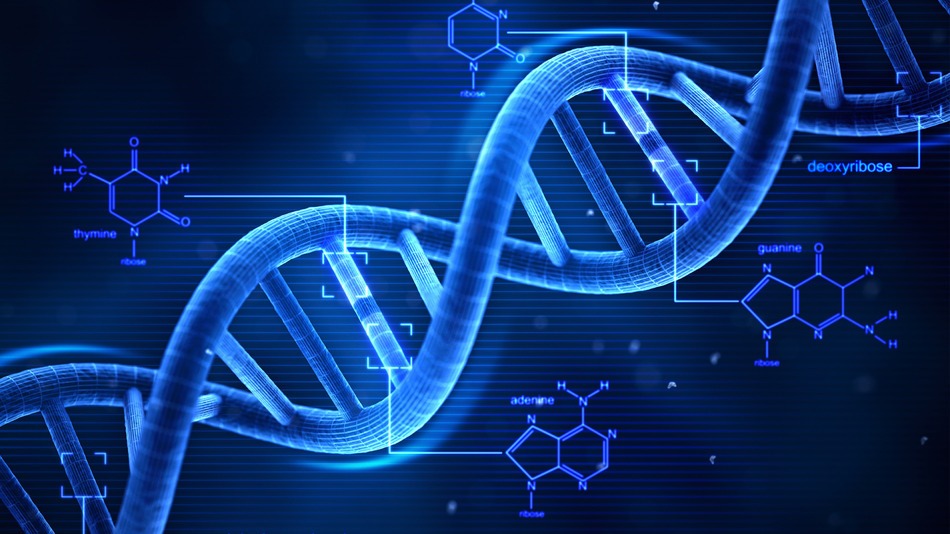 DNA data storage